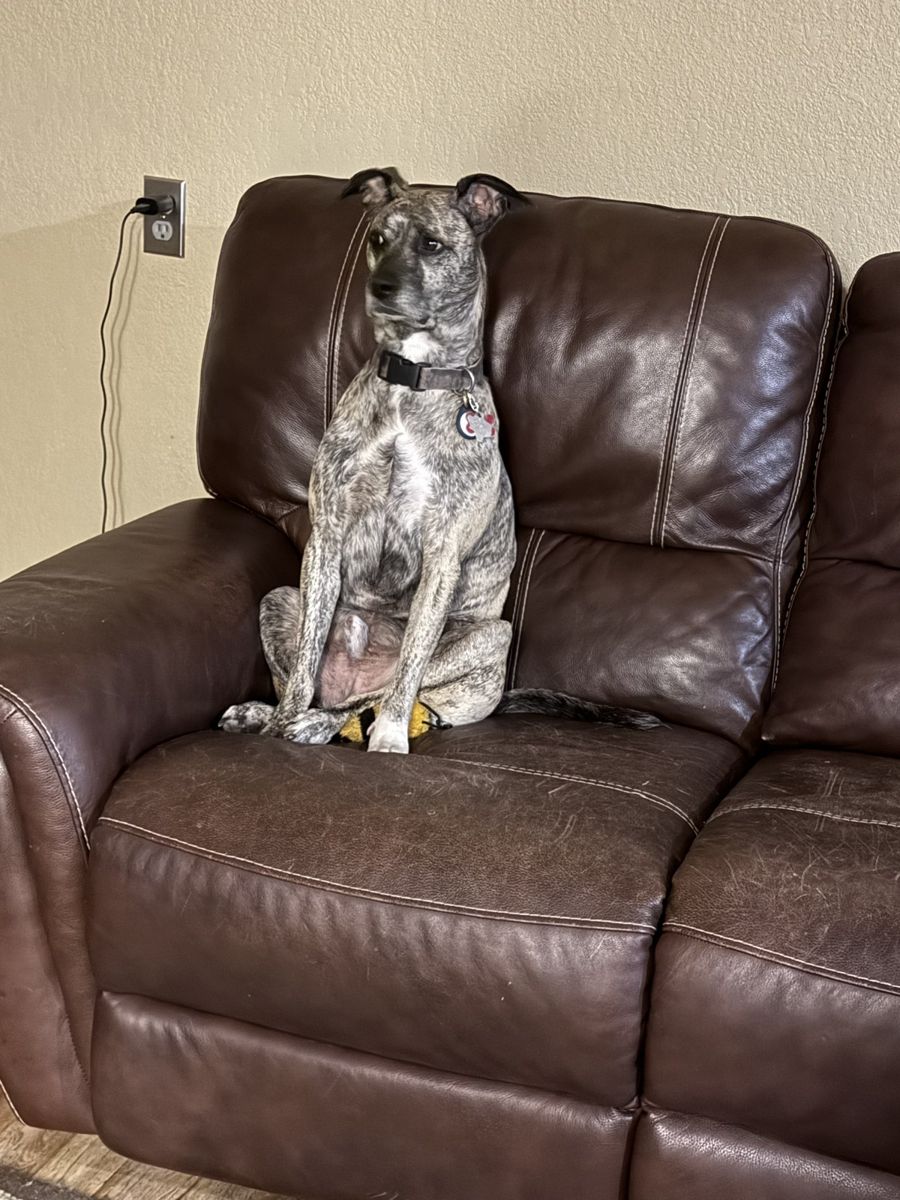 Saving your seat