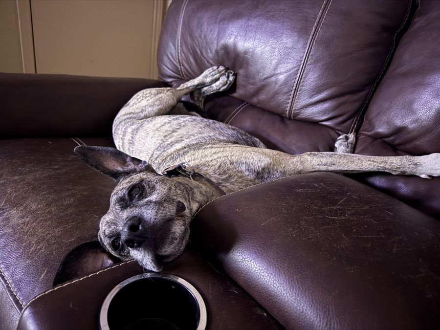 Fully off duty
