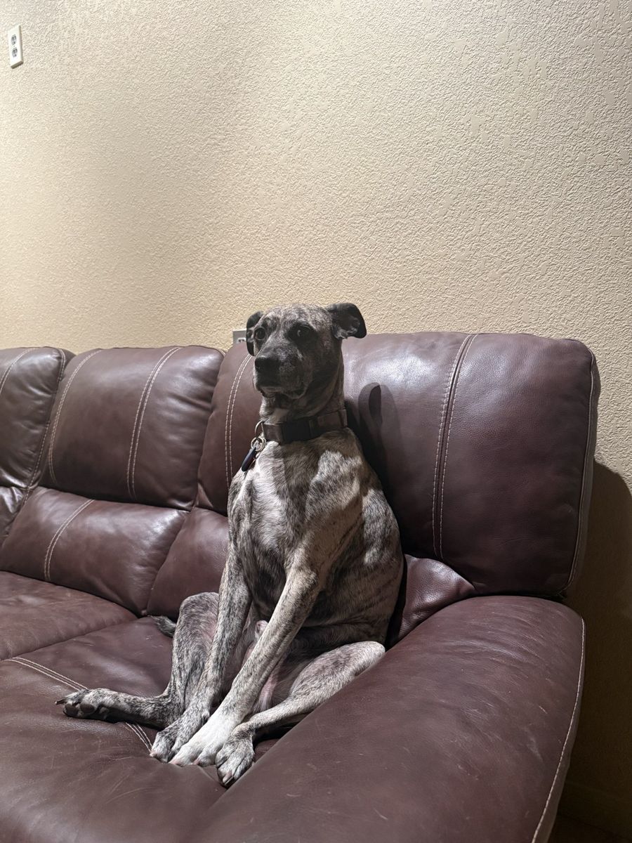 Caspian
